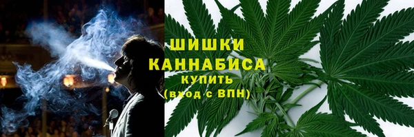 эйфоретик Покачи