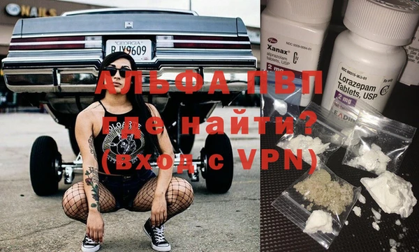 эйфоретик Покачи