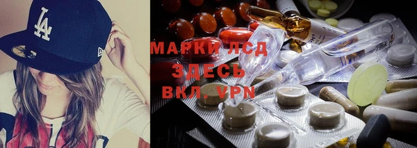 эйфоретик Покачи