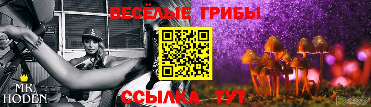 Псилоцибиновые грибы GOLDEN TEACHER Великий Устюг