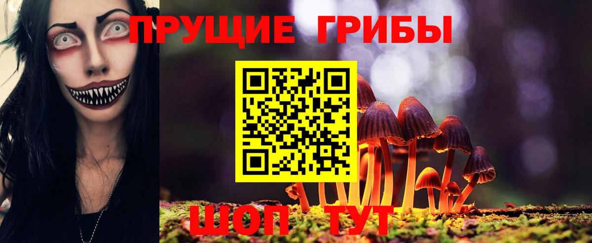 Галлюциногенные грибы мухоморы  Галлюциногенные грибы мицелий  Великий Устюг  Вход с VPN 