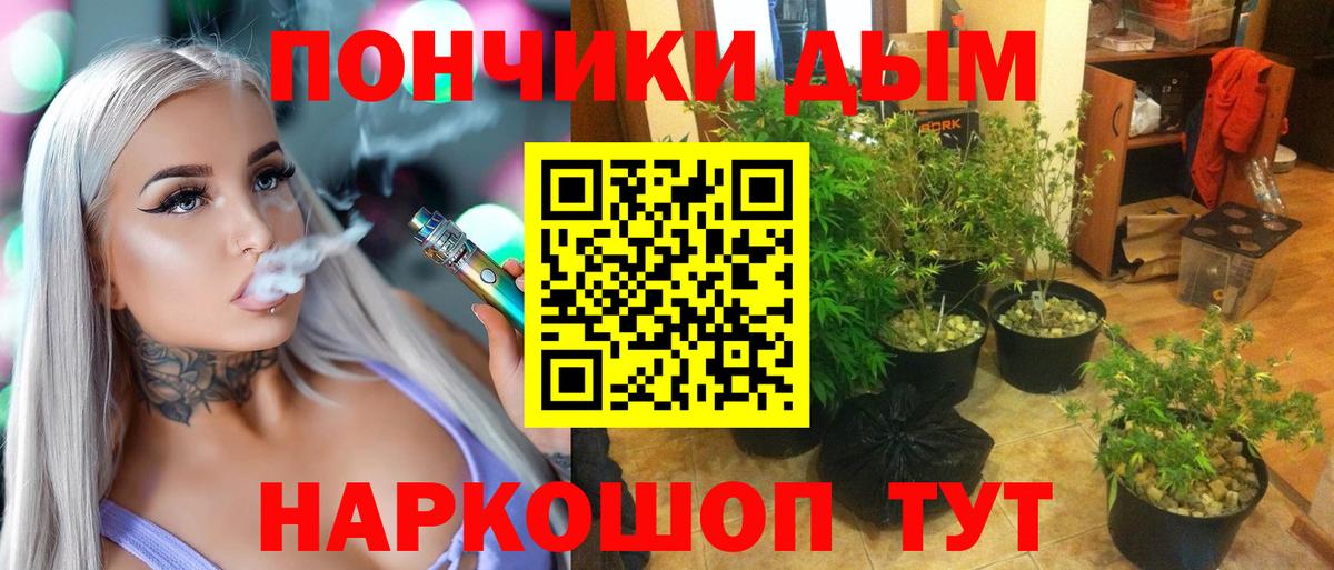 Марихуана планчик  Вход с VPN  Бошки Шишки семена  Великий Устюг 